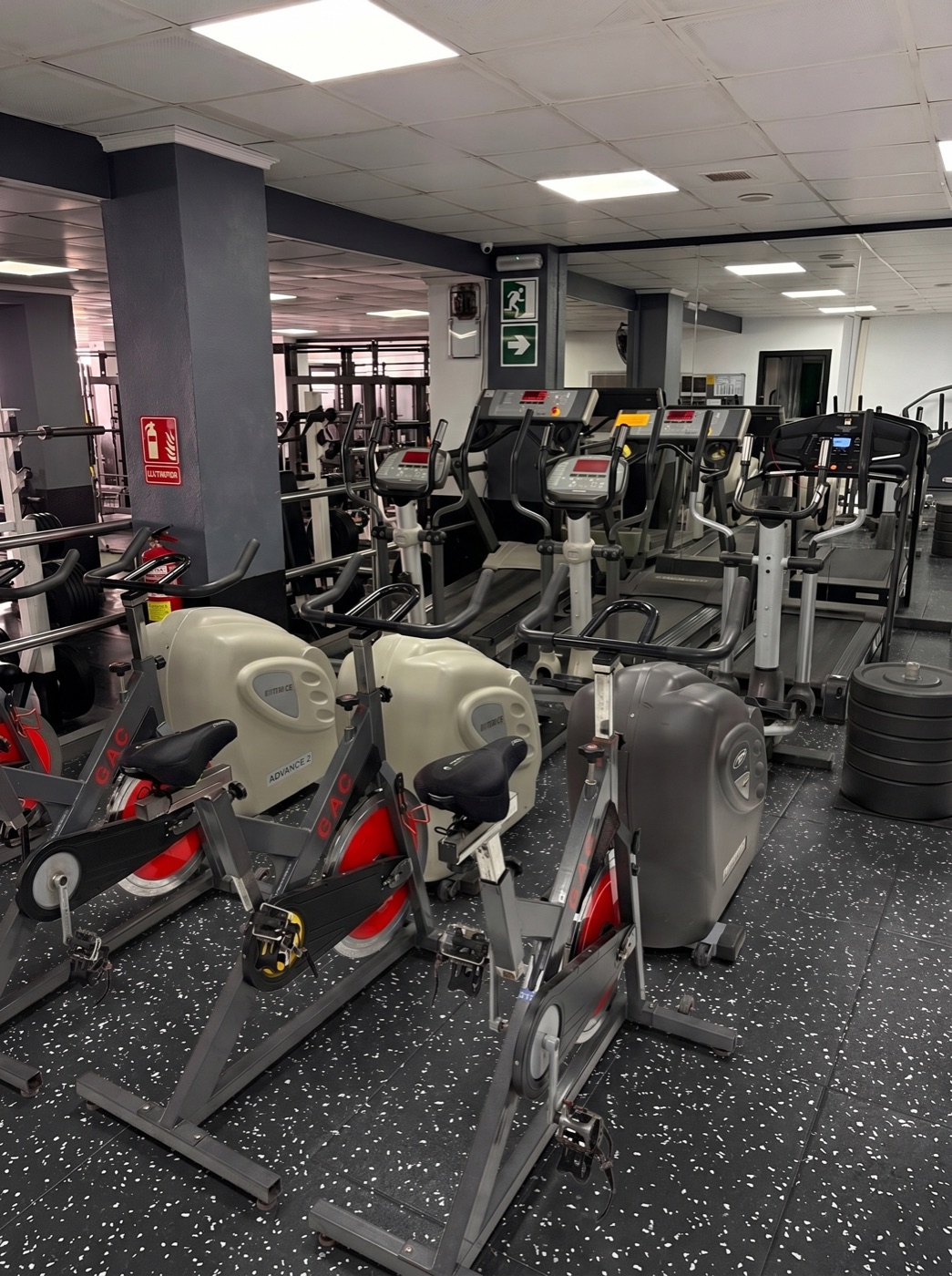Área cardiovascular con bicicletas y máquinas de cardio en ELEV8