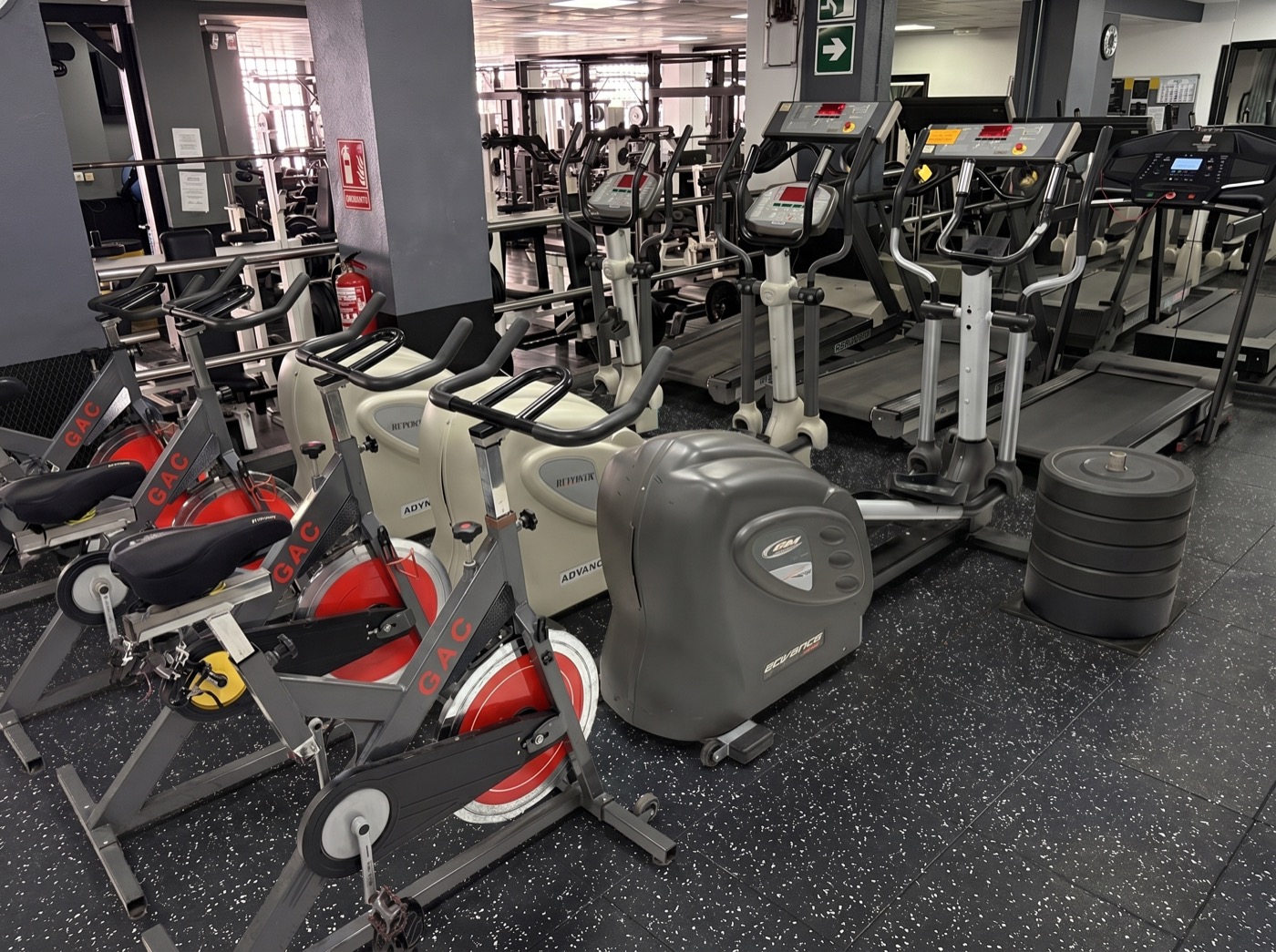 Zona de cardio con cintas y elípticas en ELEV8